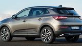 Opel Opel Grandland X 2021